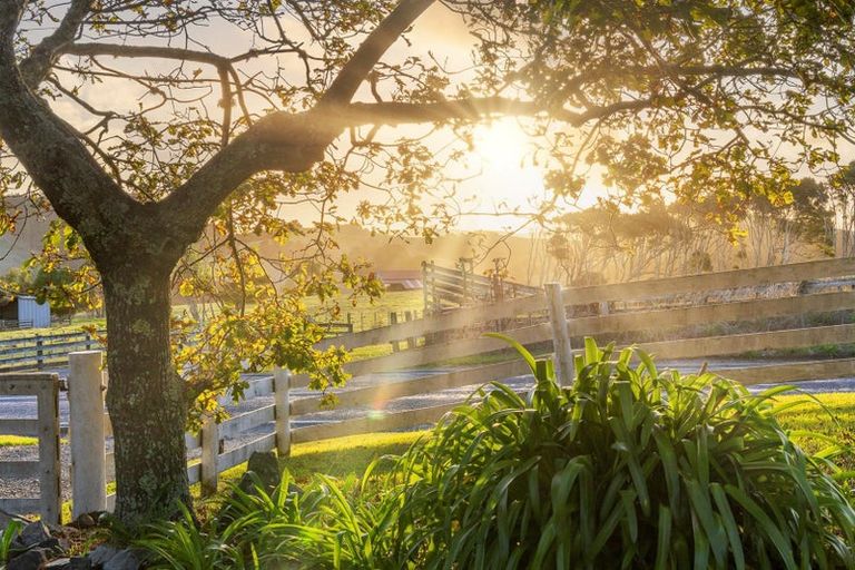 Photo of property in 603 Peak Road, Helensville, 0875