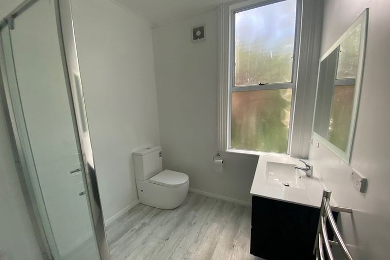 Photo of property in 41a Garfield Avenue, Roslyn, Dunedin, 9010