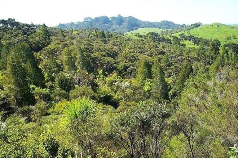 Photo of property in 20a Cabbage Tree Bay Road, Opononi, Kaikohe, 0473