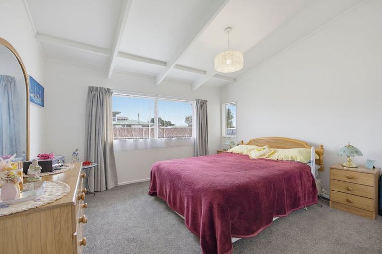 Photo of property in 133 Tiro Tiro Road, Levin, 5510