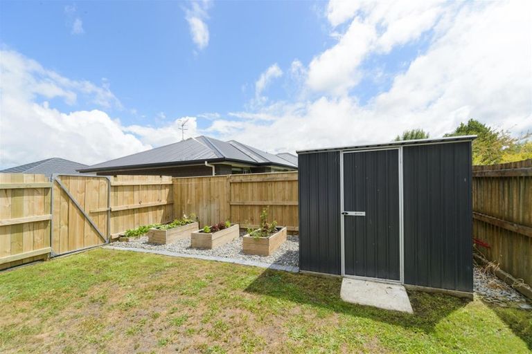 Photo of property in 41 Wilson Street, Bulls, 4818