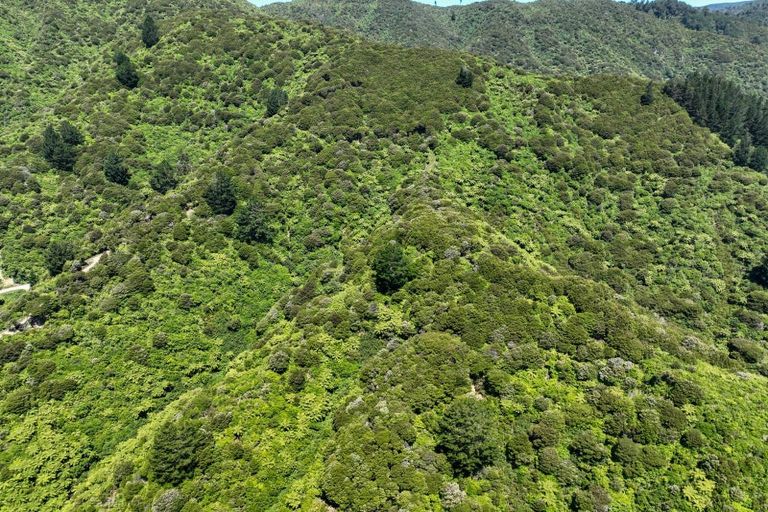 Photo of property in 180 Totaranui Road, Wainui Bay, Takaka, 7183