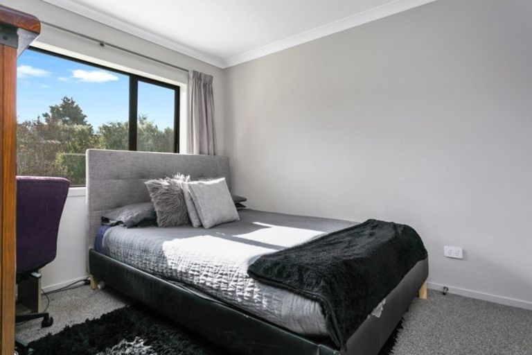 Photo of property in 41 Rata Street, Matamata, 3400