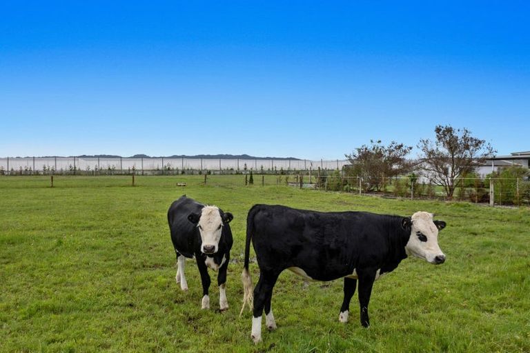 Photo of property in 493 Grieve Road, Te Teko, Whakatane, 3193