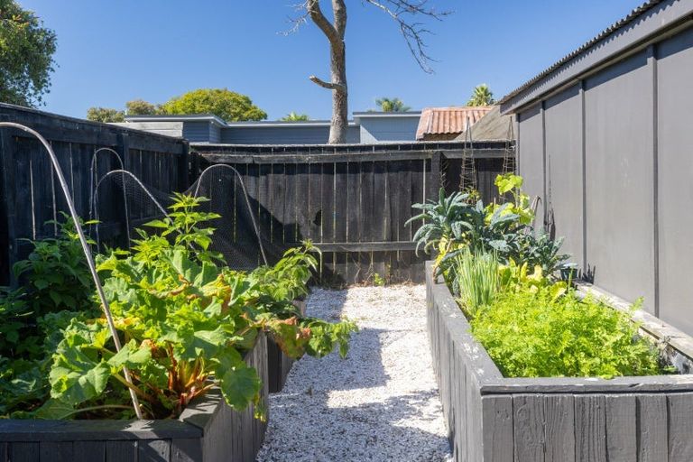 Photo of property in 113 Nelson Crescent, Napier South, Napier, 4110