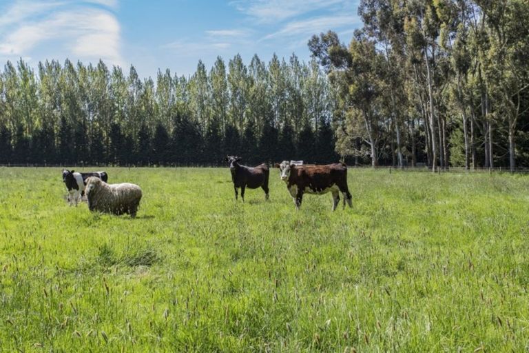 Photo of property in 68 Raddens Road, Ohoka, Kaiapoi, 7692