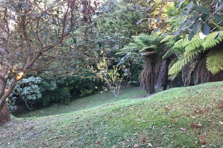 Photo of property in 553b East Coast Road, Browns Bay, Auckland, 0630