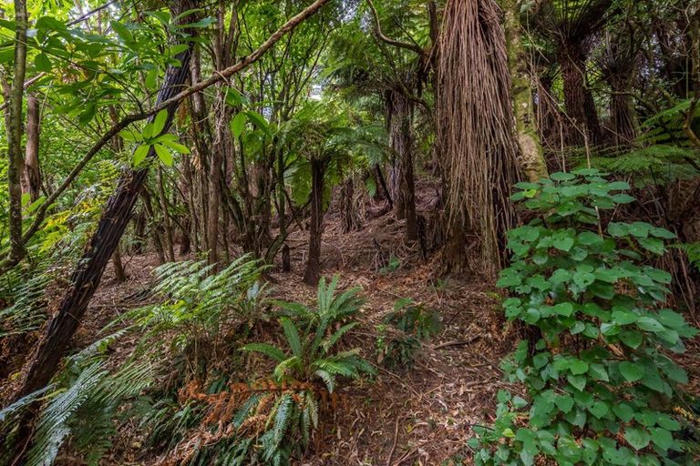 Photo of property in 41 Gardiner Grove, Wainuiomata, Lower Hutt, 5014
