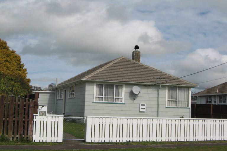 Photo of property in 17 Ajax Street, Stratford, 4332