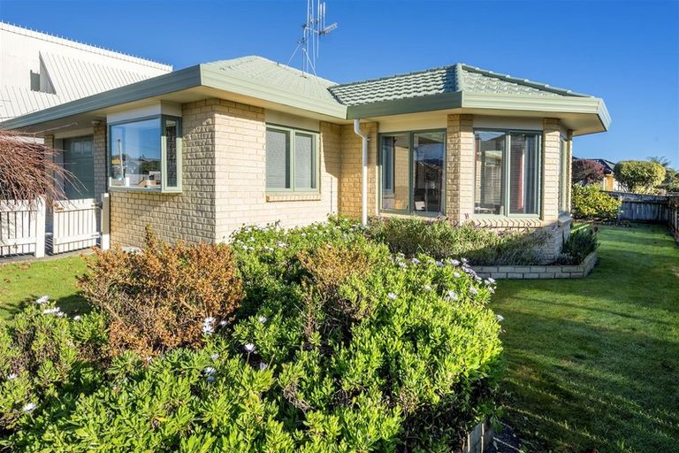 Photo of property in 41 Weraroa Road, Levin, 5510