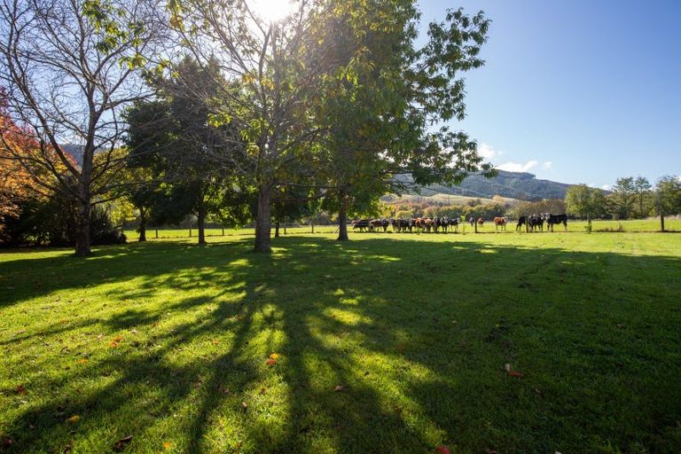 Photo of property in 254 Kohatu-kawatiri Highway, Motupiko, Nelson, 7072