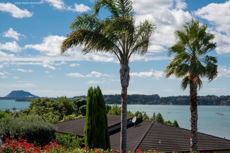 Photo of property in 7 Farnell Court, Omokoroa, 3114