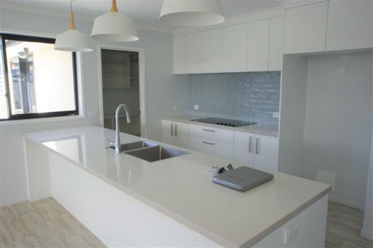 Photo of property in 239 Taylor Pass Road, Witherlea, Blenheim, 7201