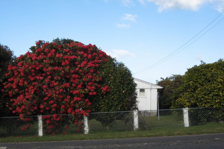 Photo of property in 167 Omori Road, Omori, Turangi, 3381