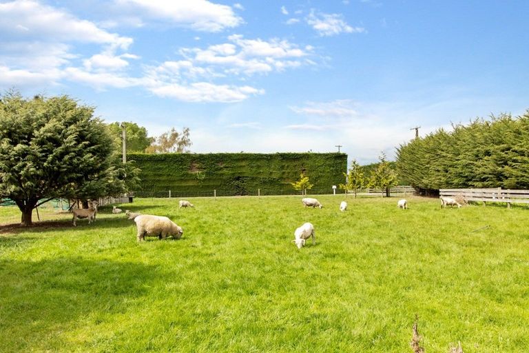 Photo of property in 26 Alice Street, Morven, Waimate, 7980