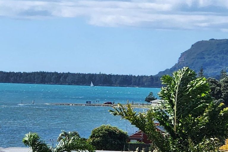 Photo of property in 115 Matua Road, Matua, Tauranga, 3110