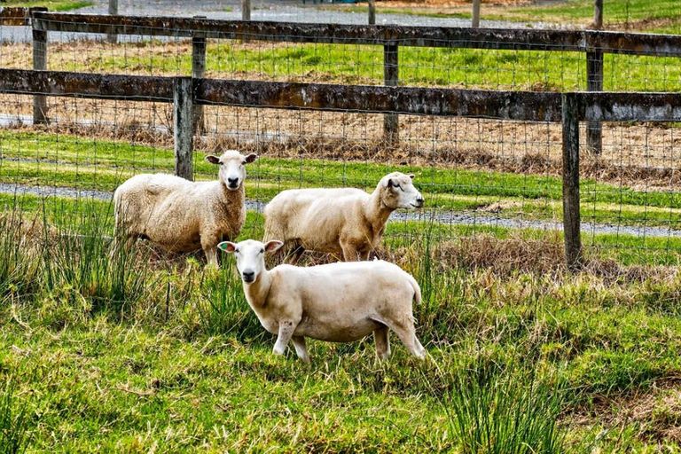 Photo of property in 32 Franklin Road, Paparoa, 0571