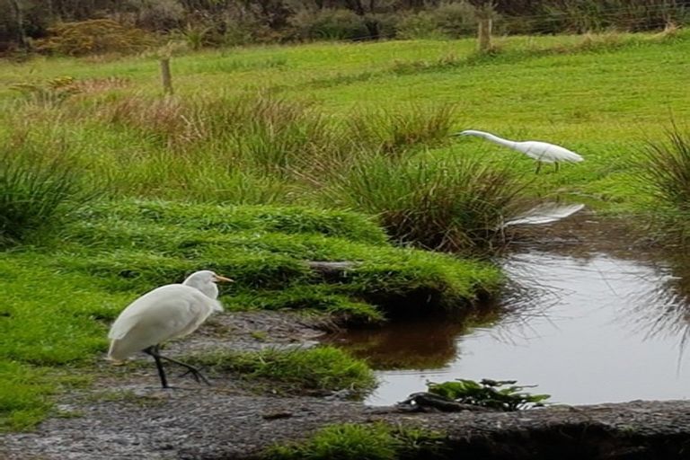 Photo of property in 70 Taramakau Highway, Kumara Junction, Kumara, 7875