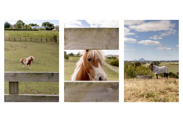 Photo of property in 220a Braemar Road, Manawahe, Whakatane, 3193