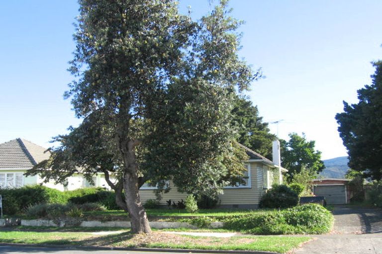 Photo of property in 105 Gibbons Street, Ebdentown, Upper Hutt, 5018