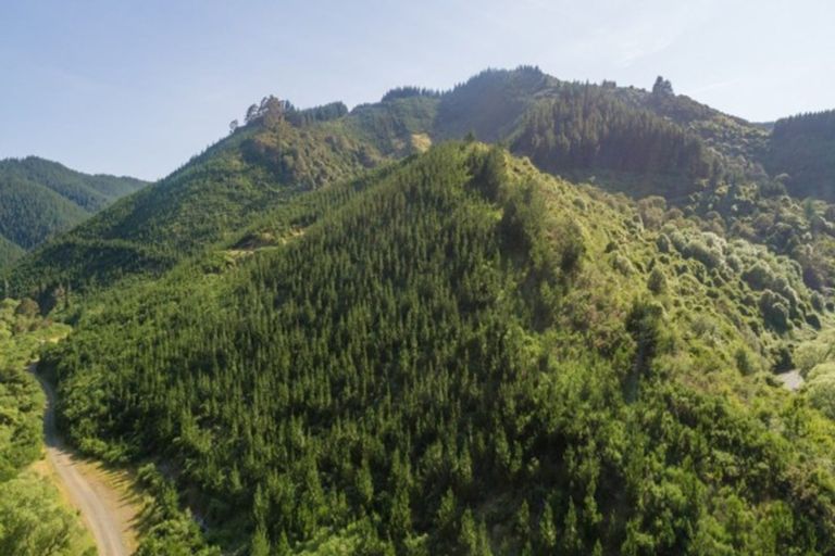 Photo of property in 641 Aniseed Valley Road, Aniseed Valley, Richmond, 7081