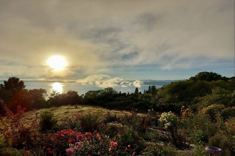 Photo of property in 21 Parerohi Grove, Kuratau, Turangi, 3381