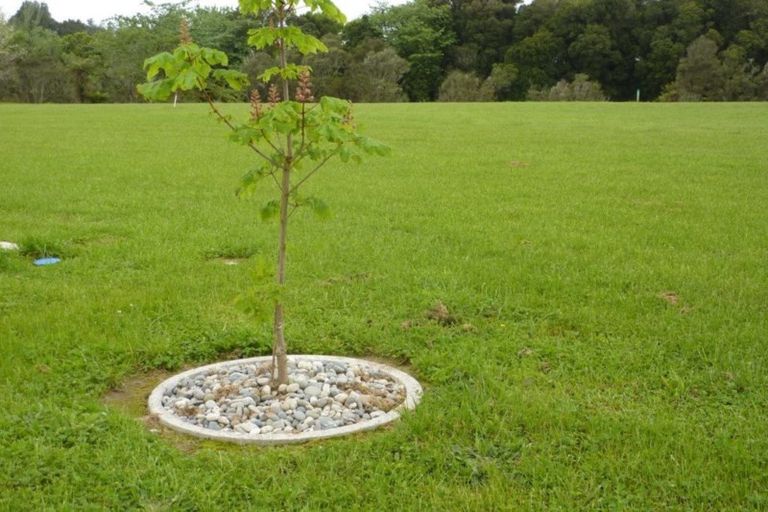 Photo of property in 29 Kawatiri Place, Westport, 7825