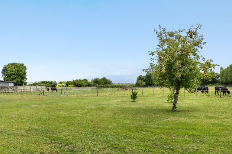 Photo of property in 22 Goulter Street, Clive, Hastings, 4180