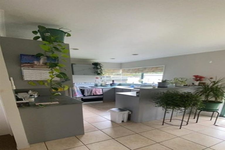 Photo of property in 7c Macville Road, Mount Maunganui, 3116