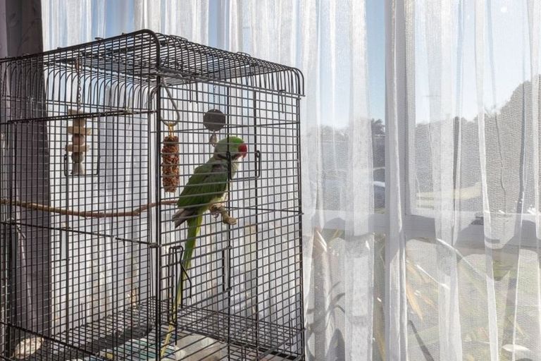 Photo of property in 6 Ridgeway Place, Glenview, Hamilton, 3206