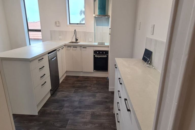 Photo of property in 44 Exmouth Road, Northcote, Auckland, 0627