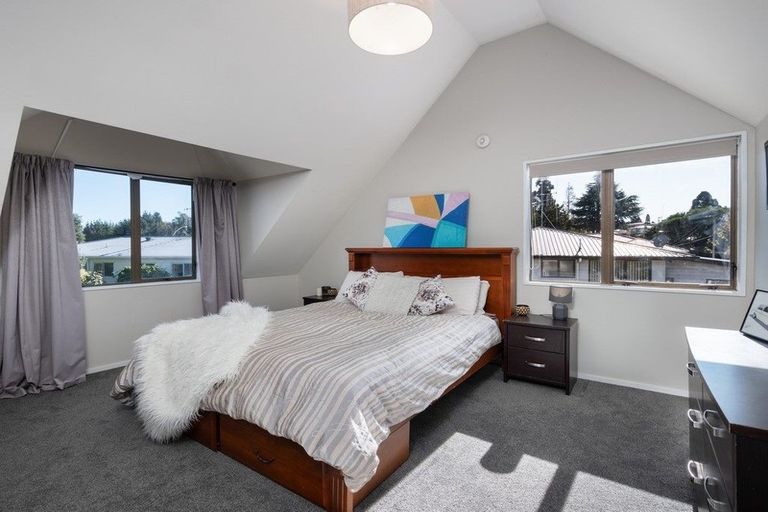 Photo of property in 50a Millers Road, Brookfield, Tauranga, 3110