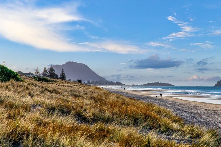 Photo of property in 290b Oceanbeach Road, Mount Maunganui, 3116