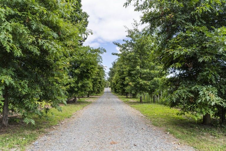 Photo of property in 43 Escott Road, Dairy Flat, Albany, 0794