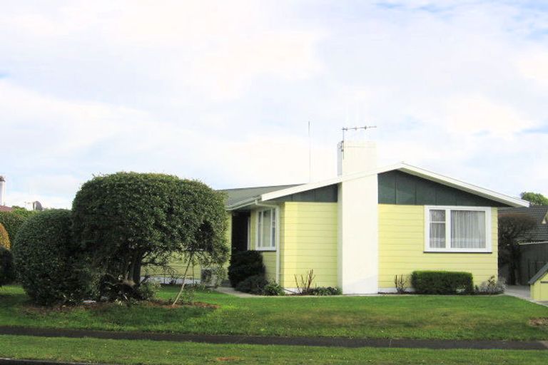 Photo of property in 145 Limbrick Street, Terrace End, Palmerston North, 4410