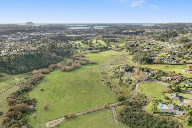 Photo of property in 19 Waioroi Place, Oropi, Tauranga, 3173