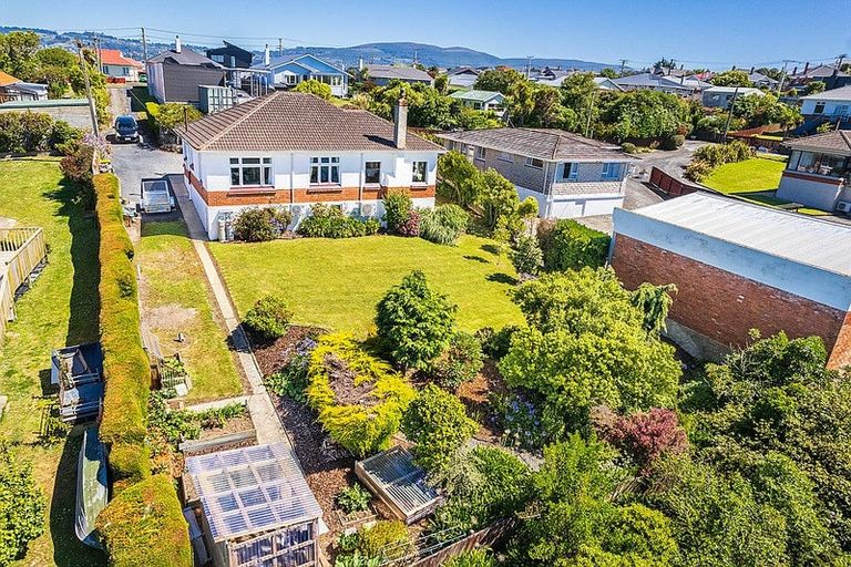 Photo of property in 115 Tomahawk Road, Andersons Bay, Dunedin, 9013