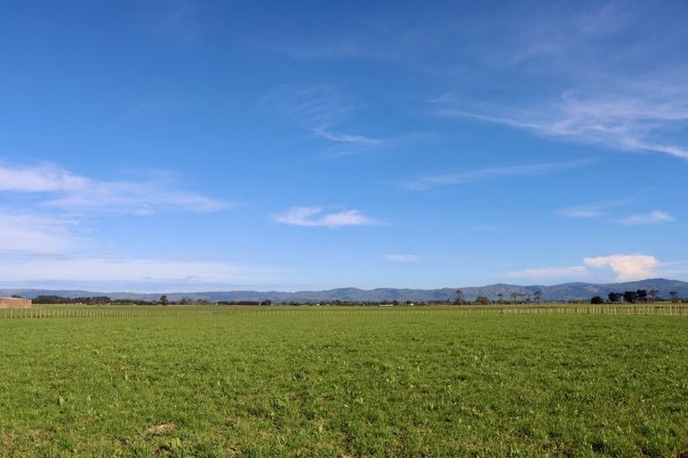 Photo of property in 565 Aranui Road, Kairanga, 4475