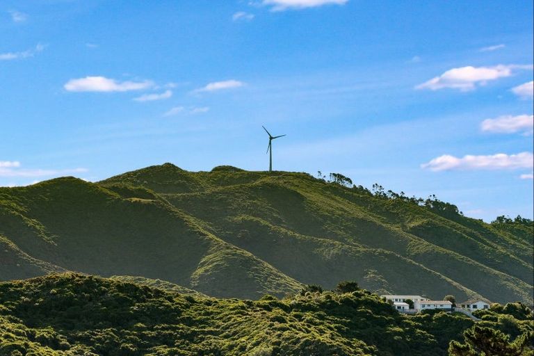 Photo of property in 62a Quebec Street, Kingston, Wellington, 6021