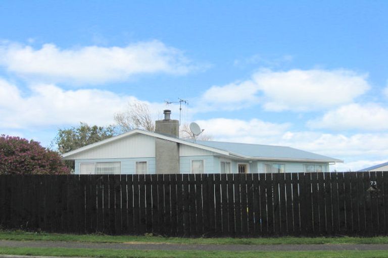 Photo of property in 73 Strathmore Avenue, Levin, 5510