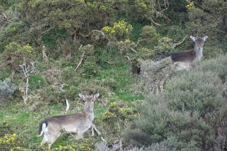 Photo of property in Long Gully, 380 Hawkins Hill Road, Brooklyn, Wellington, 6021