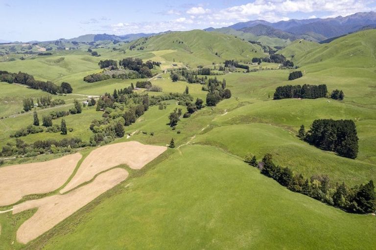 Photo of property in 268 Mikimiki Road, Mikimiki, Masterton, 5881