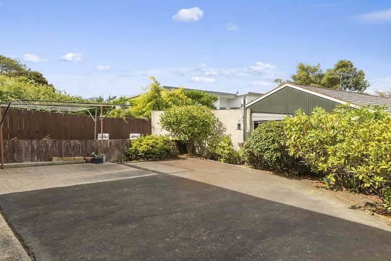 Photo of property in 39d Carnarvon Street, Belleknowes, Dunedin, 9011