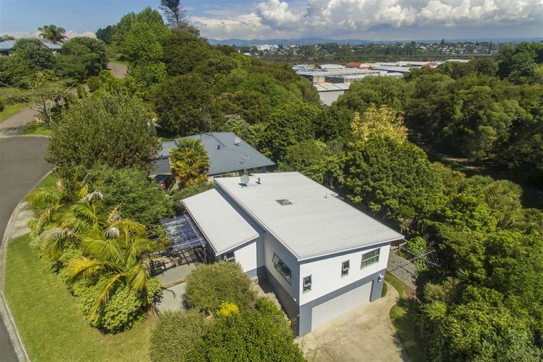 Photo of property in 111 Bell Street, Judea, Tauranga, 3110