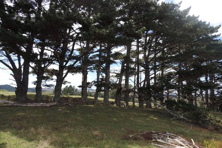 Photo of property in 225 Te Akau Road, Waingaro, Ngaruawahia, 3793