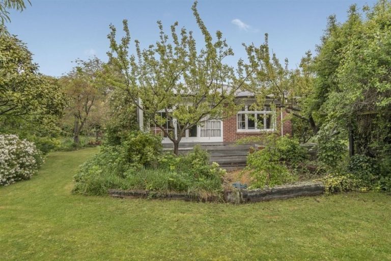 Photo of property in 39a Bank Street, Amberley, 7410