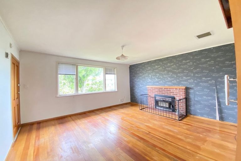 Photo of property in 14 Alan Avenue, Henderson, Auckland, 0610