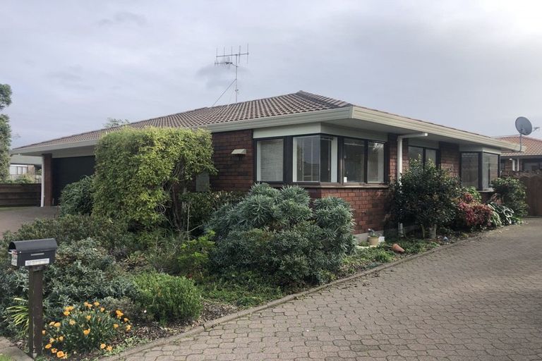 Photo of property in 45 Sunrise Avenue, Mount Maunganui, 3116