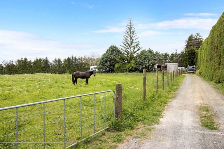 Photo of property in 50 Tetley Road, Tahawai, Katikati, 3178