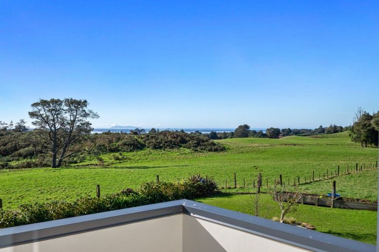 Photo of property in 101 Ross Road, Whakamarama, Tauranga, 3179